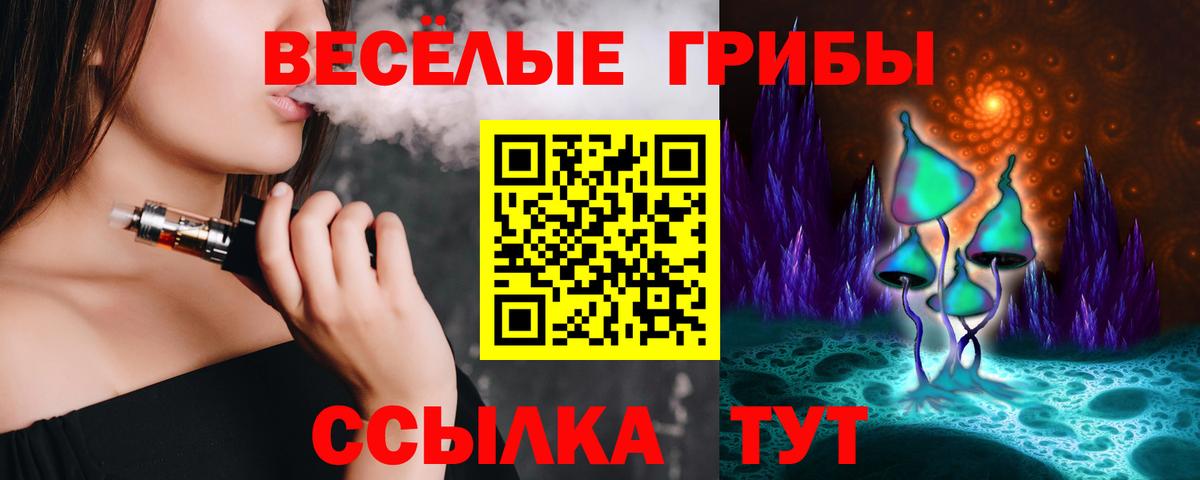 Волоколамск  Галлюциногенные грибы Magic Shrooms  Псилоцибиновые грибы Psilocybe  Вход с VPN 